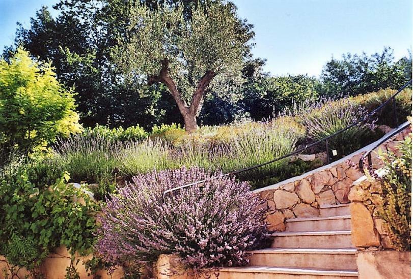 Au Vallon Rouge Saint-Paul-de-Vence Eksteriør bilde
